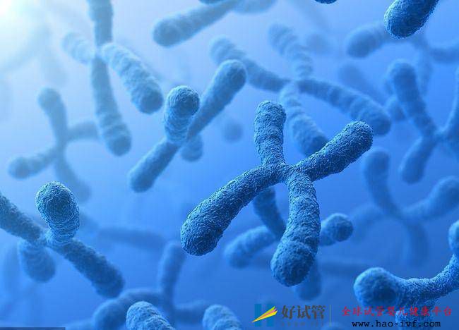 做试管婴儿可以刷医保吗?实际情况可不简单(图1) 做试管婴儿可以刷医保吗?实际情况可不简单(图1)