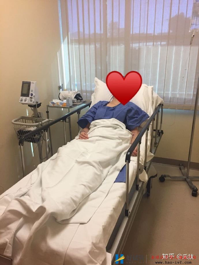 我的试管经历29岁卵巢早衰的逆袭之路(图3) 我的试管经历29岁卵巢早衰的逆袭之路(图3)