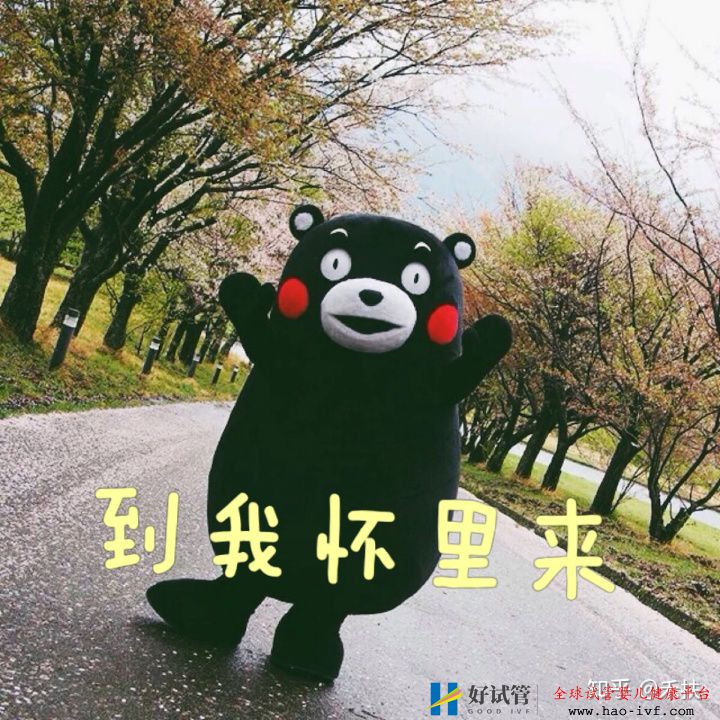 我的试管经历29岁卵巢早衰的逆袭之路(图9) 我的试管经历29岁卵巢早衰的逆袭之路(图9)