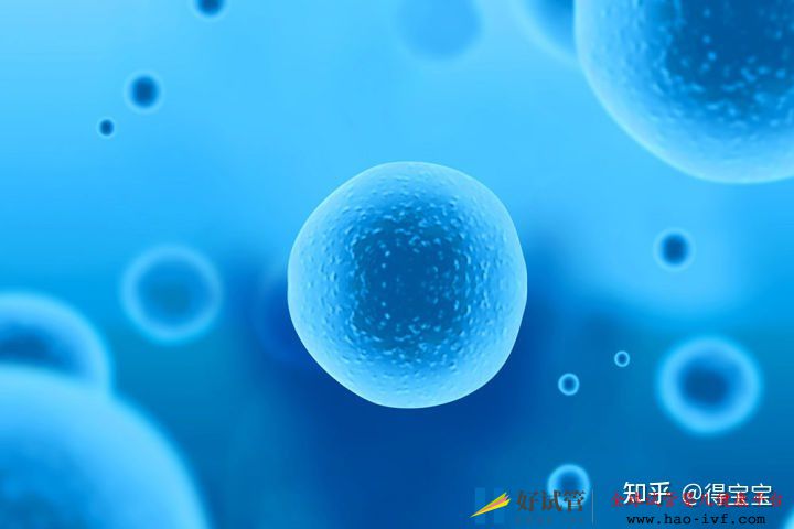 39岁做试管婴儿成功经验分享!做好这3点你也能好孕(图1) 39岁做试管婴儿成功经验分享!做好这3点你也能好孕(图1)