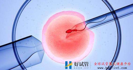 38岁的大龄试管一次成功经验分享(图1) 38岁的大龄试管一次成功经验分享(图1)