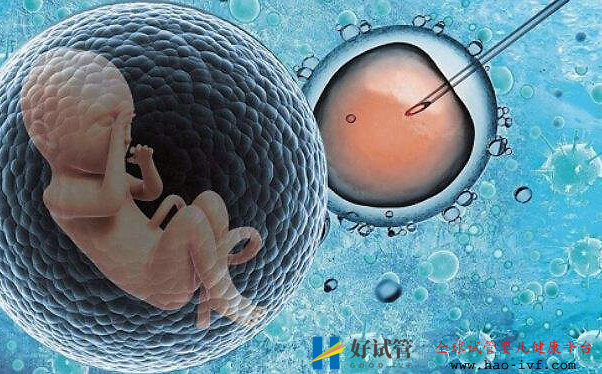 203040岁的女性做试管,成功率有多少?(图1) 203040岁的女性做试管,成功率有多少?(图1)