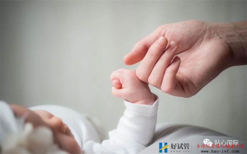 第一次做试管如何提高成功率?(图2) 第一次做试管如何提高成功率?(图2)