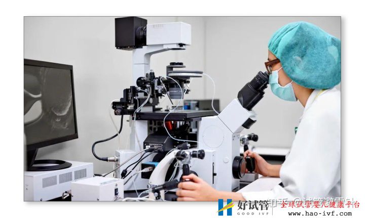 试管婴儿费用大约多少2021年——3.国内一二代试管婴...(图13) 试管婴儿费用大约多少2021年——3.国内一二代试管婴...(图13)