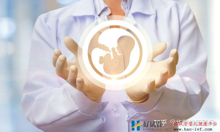试管婴儿一代成功率高还是二代一代二代三代的区别...(图4) 试管婴儿一代成功率高还是二代一代二代三代的区别...(图4)