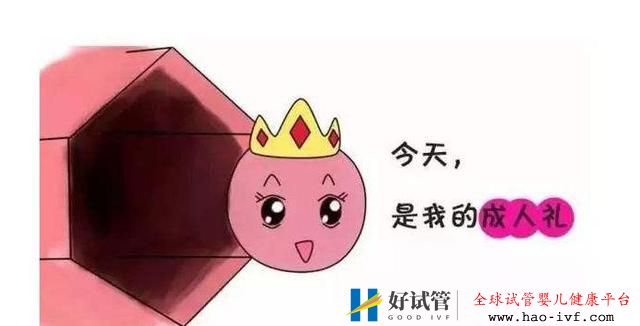 试管婴儿治疗中,卵泡要发育到多大才有用?(图1) 试管婴儿治疗中,卵泡要发育到多大才有用?(图1)