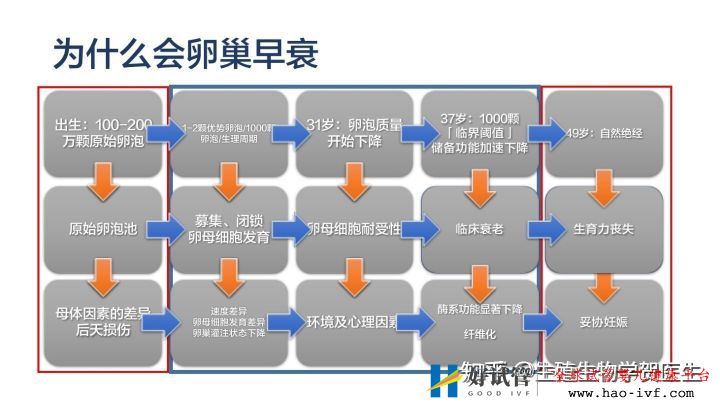 卵巢早衰选择三代试管成功率怎么算(图18) 卵巢早衰选择三代试管成功率怎么算(图18)
