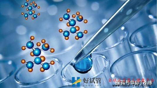 影响试管婴儿费用的因素有哪些(图1) 影响试管婴儿费用的因素有哪些(图1)