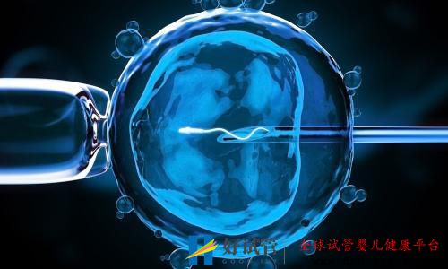 男性需要关注的做试管取精流程(图2) 男性需要关注的做试管取精流程(图2)