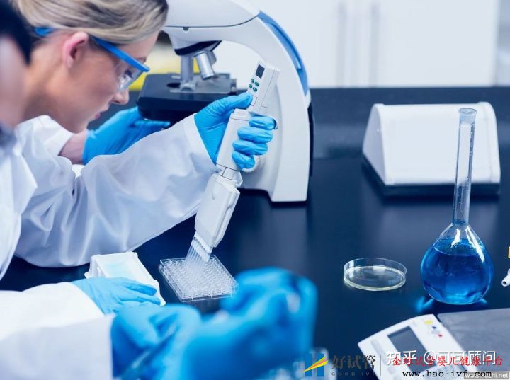 三代试管婴儿一次成功的几率大吗三代试管婴儿费用...(图1) 三代试管婴儿一次成功的几率大吗三代试管婴儿费用...(图1)