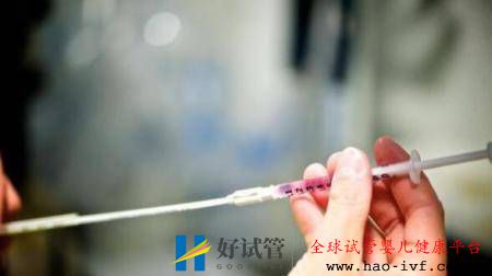 试管婴儿和普通婴儿,哪个更聪明呢?(图1) 试管婴儿和普通婴儿,哪个更聪明呢?(图1)