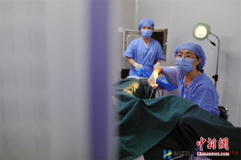 揭秘“试管婴儿”全过程放入液氮中冷冻(图)(图1) 揭秘“试管婴儿”全过程放入液氮中冷冻(图)(图1)