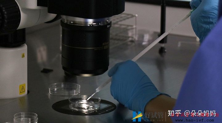 做试管大约要多少钱一次就能圆梦(图2) 做试管大约要多少钱一次就能圆梦(图2)