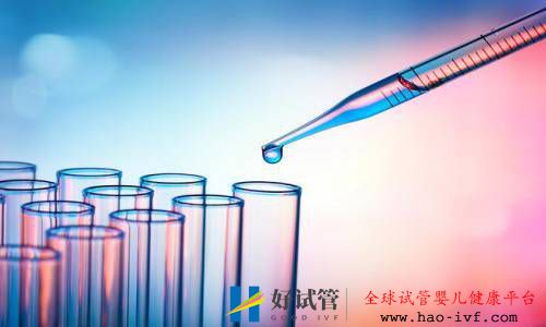 泌乳素过高做试管婴儿能成功吗(图1) 泌乳素过高做试管婴儿能成功吗(图1)