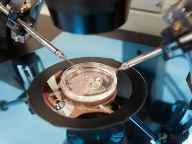 试管全流程时间安排表分享,真不需要天天往医院跑(图1) 做试管需要两至三个月