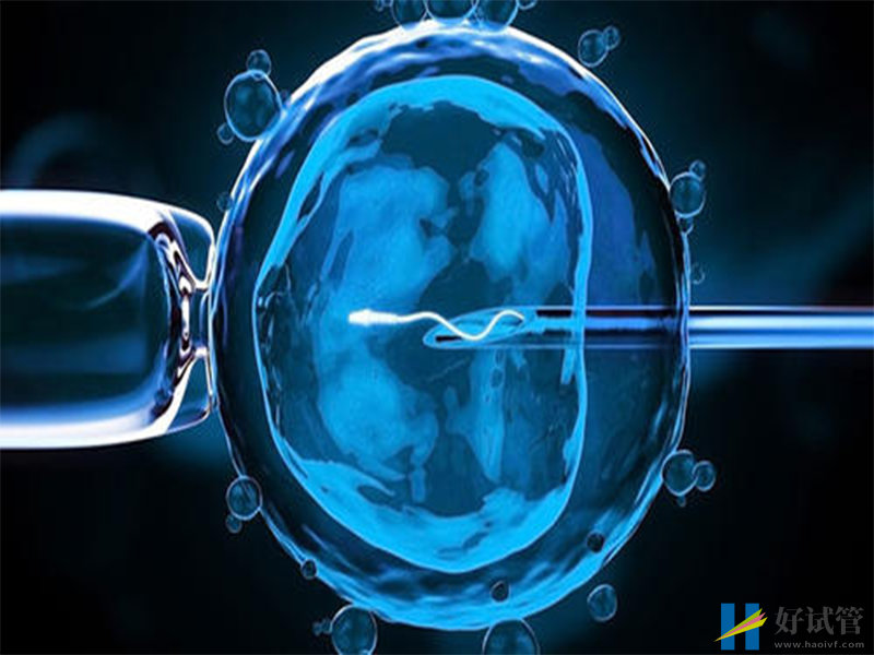 哈密第三代试管婴儿价格,多少钱?(图1) 哈密第三代试管婴儿价格,多少钱?(图1)