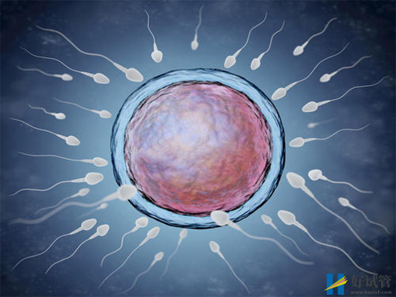 泰国杰特宁试管婴儿医院介绍,就诊资料和流程详细指南(图2) 泰国杰特宁试管婴儿医院就诊资料详解