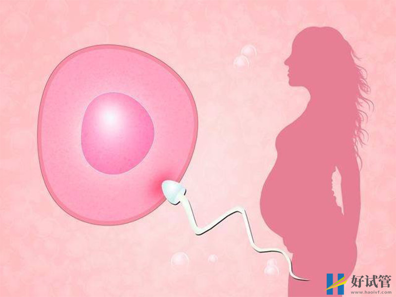 泰国杰特宁试管婴儿医院介绍,就诊资料和流程详细指南(图3) 泰国杰特宁试管婴儿医院医生简介