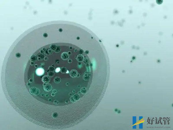 青岛市立医院试管婴儿费用,助孕省钱3000攻略(图2) 目前青岛市立医院能做试管