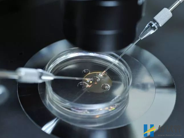 焦作三代试管婴儿医院汇总,真实三代助孕花费明细附上(图3) 三代试管是在实验室人工授精