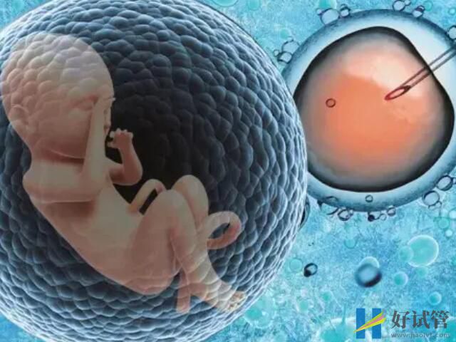 澳门三代试管医院汇总,具体助孕成功率及花费附上(图3) 促排监测好排卵后就要进行实验室操作