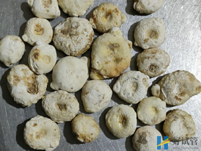 孕妇切勿食用生南星,诱发胎儿畸形几率真心高!(图1) 孕妇不能吃生南星