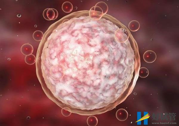 湖南试管婴儿包生儿子手术价格明细(图1) 28d26b6c82b8ce77f6402d93bba58eb5_36.jpg