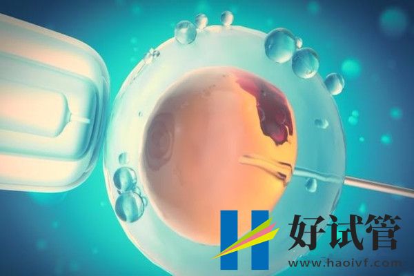 新疆昌吉第四代高龄试管婴儿(图1) 2-21121210125A91.jpg