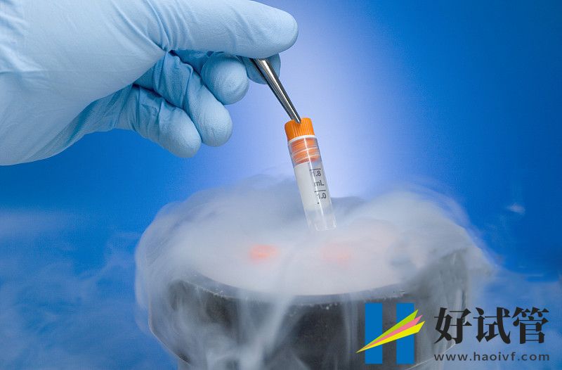 吐鲁番哪做第三代试管婴儿?(图1) 14593TH0-3.jpg