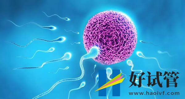 25~45岁做试管婴儿成功率汇总,30岁以下助孕几率高(图1) sg (89).jpg