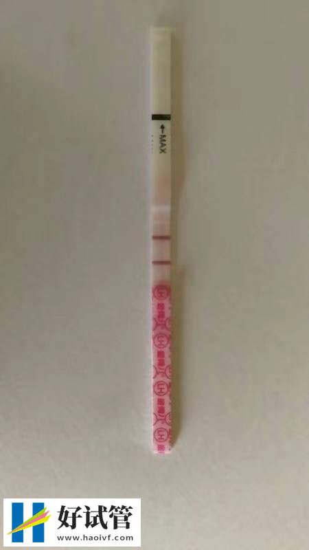 100%生男孩秘方 生男生女的说法都靠谱吗(图1) 100%生男孩秘方 生男生女的说法都靠谱吗(图1)