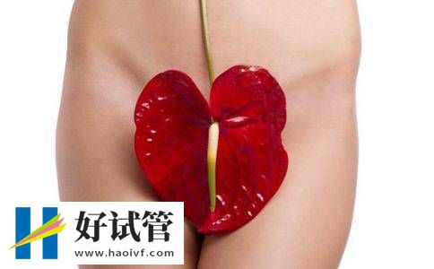 10个小细节为怀孕做足准备(图1) 10个小细节为怀孕做足准备(图1)