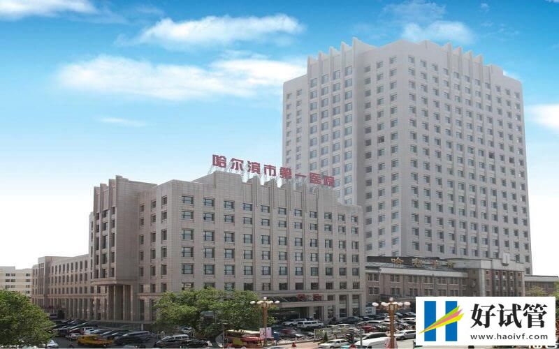 哈尔滨市一医院试管婴儿导航(附费用及成功率)(图1) 哈尔滨市一医院