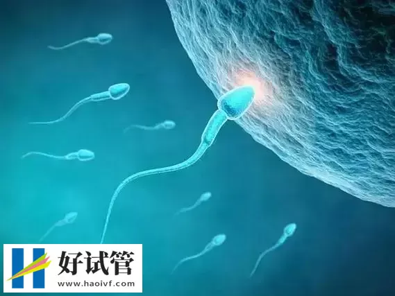 黔东南试管婴儿胚胎是怎么冷冻的(图1) 冻胚有很多的好处