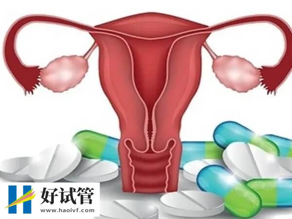 单角子宫做供精试管成功案例多不多(图1) 单角子宫做供精试管成功案例不多