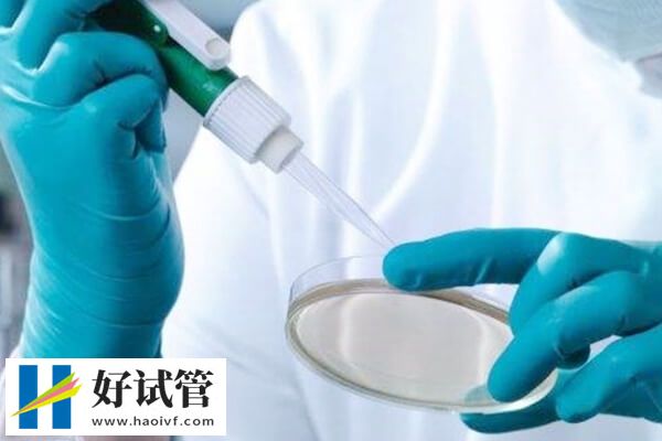 徐州妇幼保健院试管成功率高不高(图1) 徐州市妇保院试管成功率高