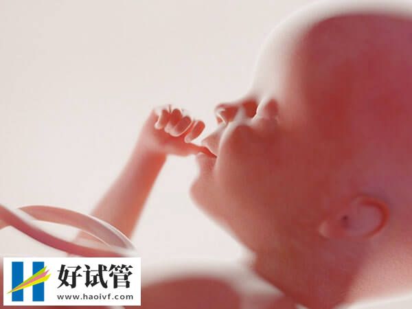 单囊胚移植不光能减少并发症,女性经济、身体压力也会变小(图1) 做单囊胚移植有哪些益处