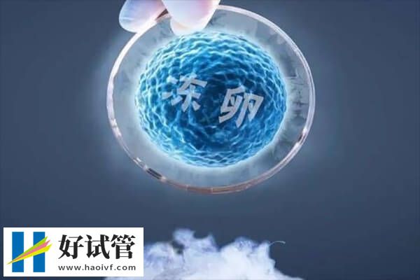 郑州冻卵有哪些流程(图1) 促排卵是冻卵的流程之一