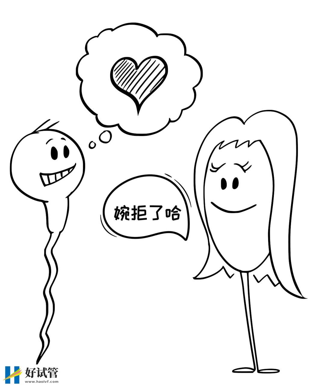 哪些人需要尽早考虑做试管婴儿?(图3) 哪些人需要尽早考虑做试管婴儿?(图3)