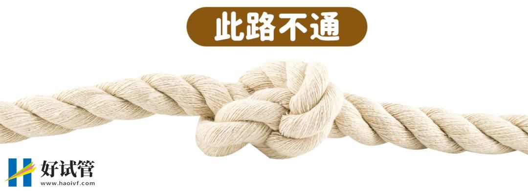 哪些人需要尽早考虑做试管婴儿?(图2) 哪些人需要尽早考虑做试管婴儿?(图2)