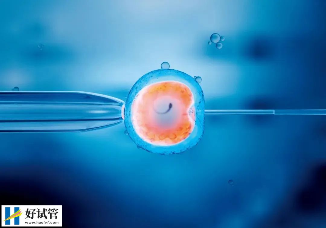 试管婴儿助孕成功后需要注意什么?(图1) d459d88e2946718f1d2a7700d41e7fe5_640_wx_fmt=jpeg&from=appmsg&tp=webp&wxfrom=5&wx_lazy=1&wx_co=1.webp