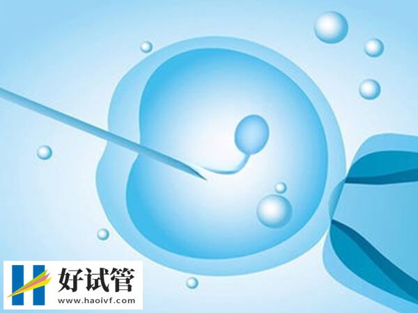 张家口能做试管的医院有哪些(图1) 张家口没有做试管婴儿的医院