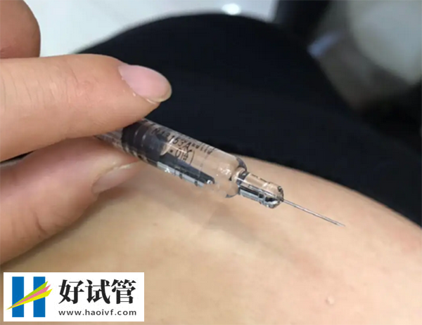 短效长方案的流程(图1) 9a833c2a08667ec8c05ff85d5e0509a9_QhuD62qfHS1734494432358.png