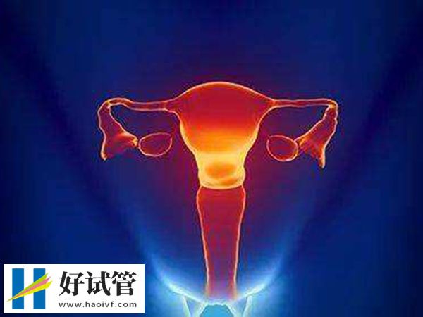 促排时间一般几天(图4) 6e1a926ce109e9923af85947bb52286c_T9WKpP79lv1734493414121.png