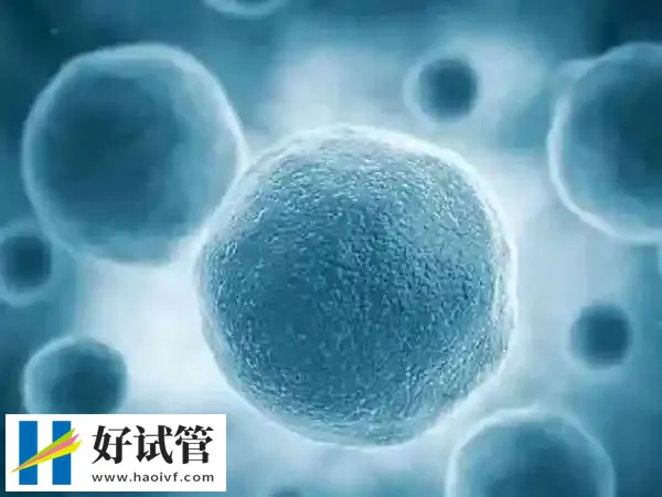 囊胚解冻为什么那么贵(图1) 囊胚解冻需要高度的技术专业性