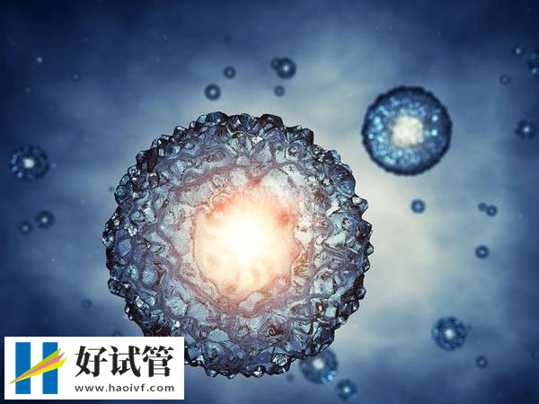 囊胚解冻为什么那么贵(图2) 冻胚移植前要检查身体