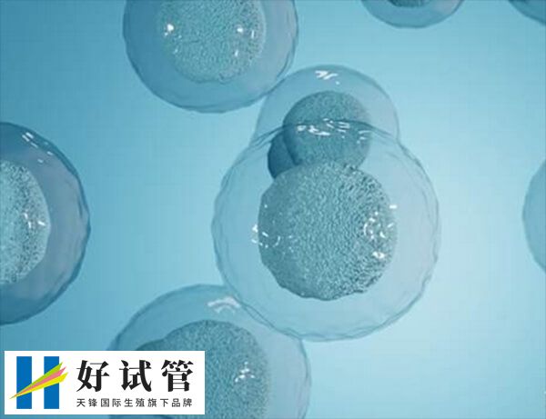 促排期间要注意适当运动