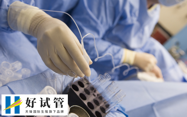 三代试管婴儿可以检测三倍体吗？附成功率和费用(图1)