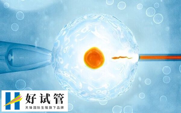 囊胚移植后食欲下降正不正常(图2) 试管移植后要避免过激的情绪