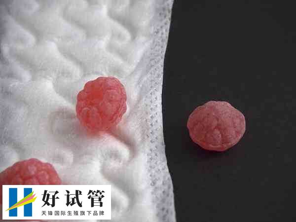 盆腔炎会影响试管妊娠率